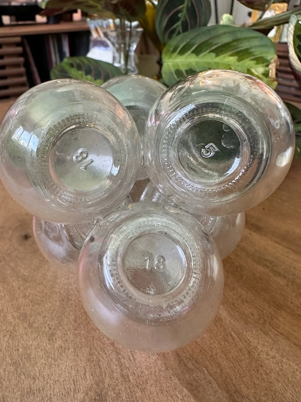 MCM Vintage Clear Glass 7 Bud Vase Cluster Plant Propagation Station